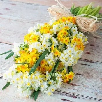 35 Белых и Желтых Кустовых Нарциссов