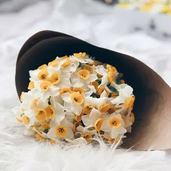 35 Белых Нарциссов