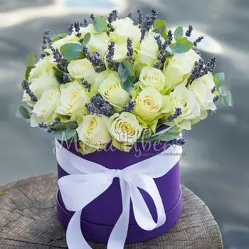 35 Белых Роз (30-40 см.) в коробке