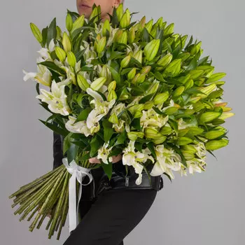 35 Белых Восточных Лилий