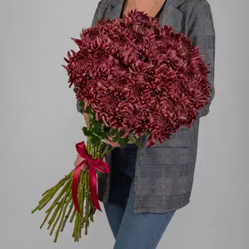 35 Бордовых Хризантем Бигуди