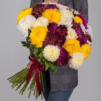 35 Хризантем Бигуди Микс