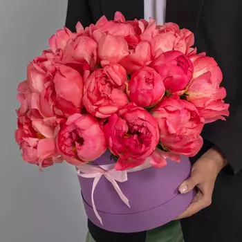 35 Коралловых Пионов в коробке