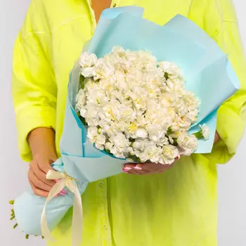 35 Кустовых Лимонных Гвоздик