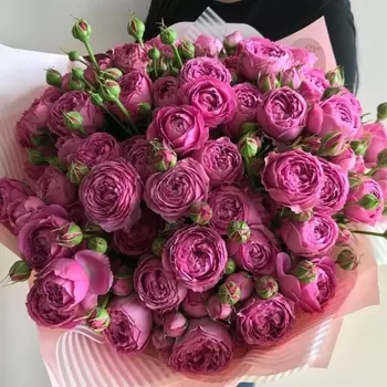 35 Кустовых Пионовидных Розовых Роз (50 см.)