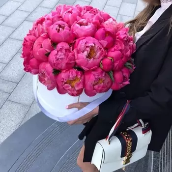 35 Малиновых Пионов в коробке