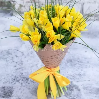 35 Нарциссов