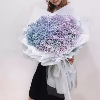 35 Нежно-Голубых и Фиолетовых Гипсофил