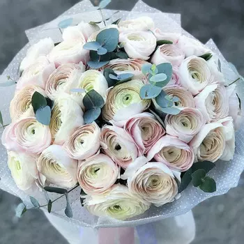 35 Нежно-Розовых Ранункулюсов в корейской пленке