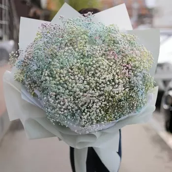 35 Нежных Цветных Гипсофил