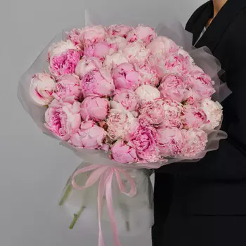 35 Пионов Сара Бернар