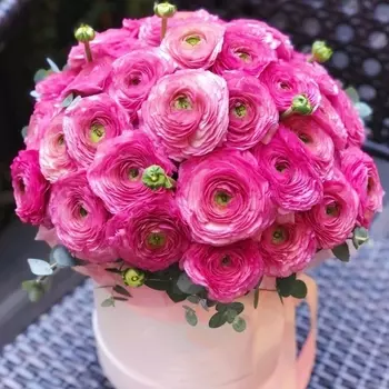 35 Ранункулюсов В Коробке