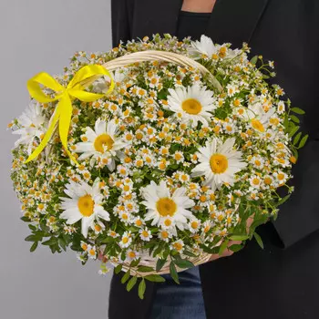 35 Ромашек Микс в корзине