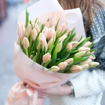 35 Розовых Тюльпанов