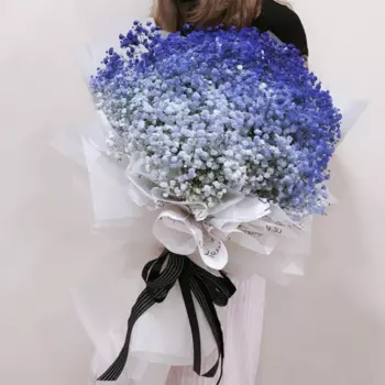 35 Сине-Голубых Гипсофил