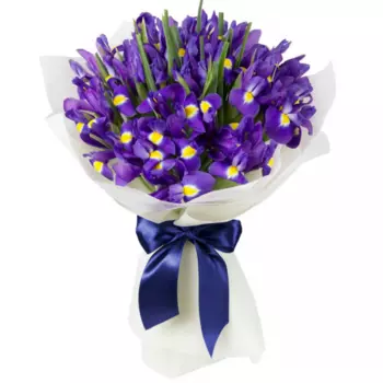 35 Синих Ирисов в упаковке
