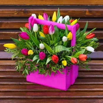 35 Тюльпанов Микс в ящике