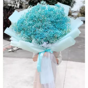 35 Ярко-Голубых Гипсофил