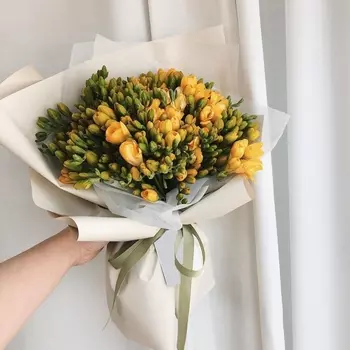 35 Желтых Фрезий