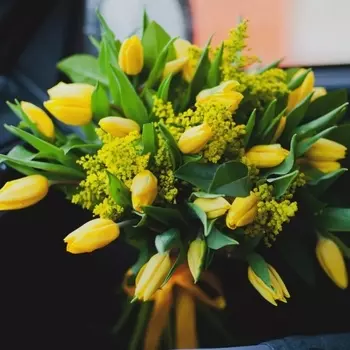 35 Желтых Тюльпанов с мимозой
