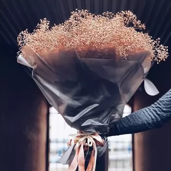 35 Золотых Гипсофил