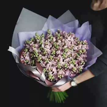 39 Светло-Коричневых Маттиол