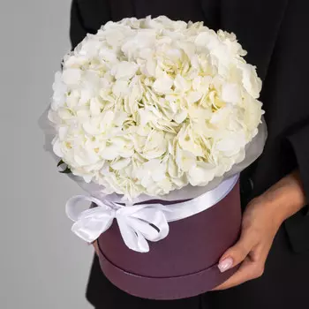 3 Белые Гортензии в коробке