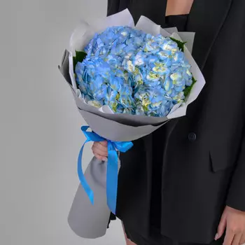 3 Голубые Гортензии