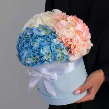 3 Гортензии Микс в коробке