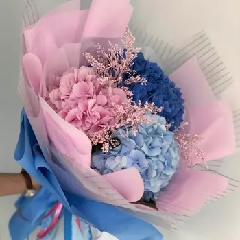 3 Гортензий Микс