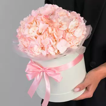 3 Розовые Гортензии в коробке