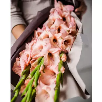 3 Розовых Гладиолуса