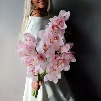 3 Ветки Розовой Орхидеи
