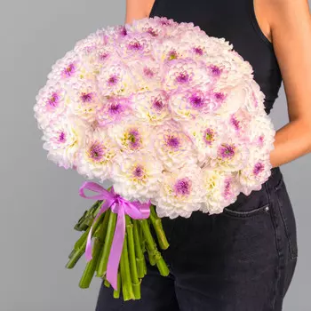 45 Бело-Фиолетовых Георгинов