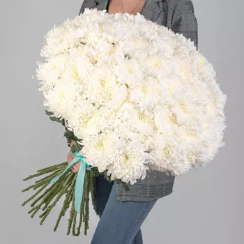 45 Белых Хризантем Бигуди
