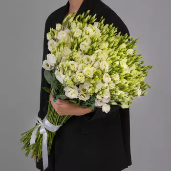 45 Белых Эустом