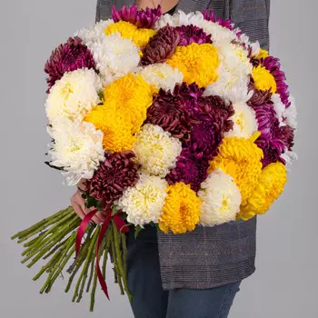 45 Хризантем Бигуди Микс