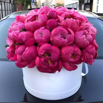 45 Малиновых Пионов в коробке