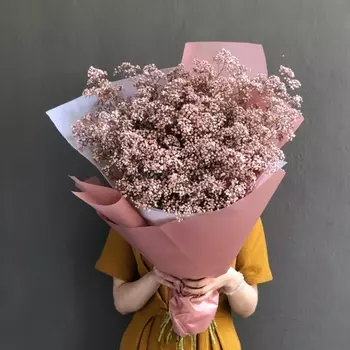 45 Нежно-Розовых Гипсофил