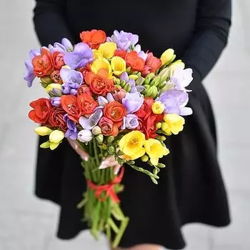 45 Разноцветных Фрезий