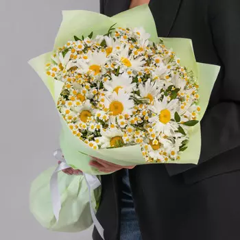 45 Ромашек Микс