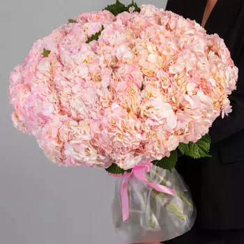 45 Розовых Гортензий