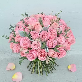 45 Розовых Роз (50 см.)