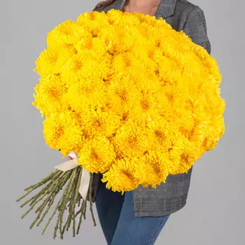45 Желтых Хризантем Бигуди