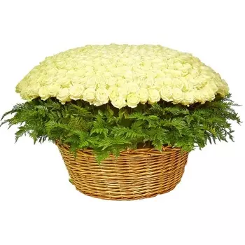 501 Белая Роза (50 см.)