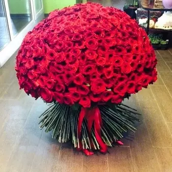 501 Красная Роза (80 см.)