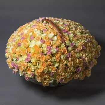 501 Разноцветная Роза (30-40 см.)