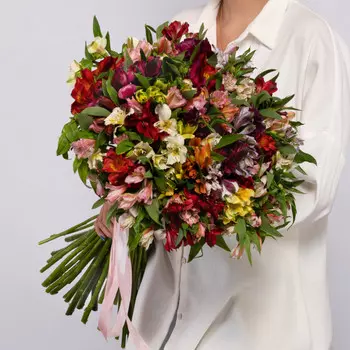 51 Альстромерия Микс