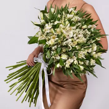 51 Белая Альстромерия