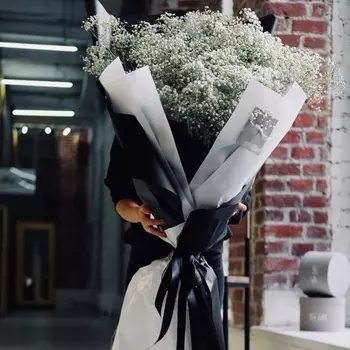 51 Белая Гипсофила